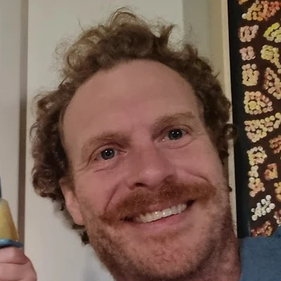 David Johnston, Payments specialist